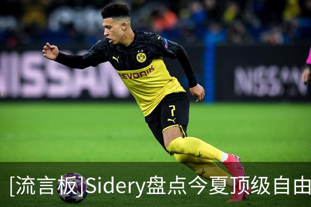 [流言板]Sidery盘点今夏顶级自由球员名单：詹姆斯&哈登&库明加领衔